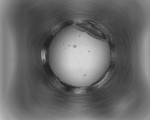 X0000115420094200911101640