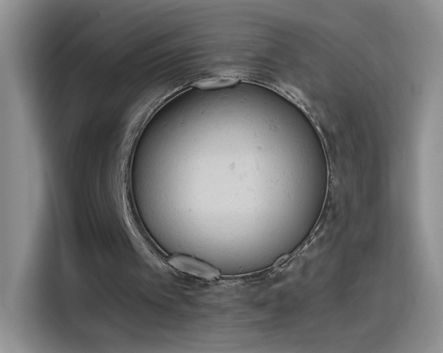 X0000115420097200911101639