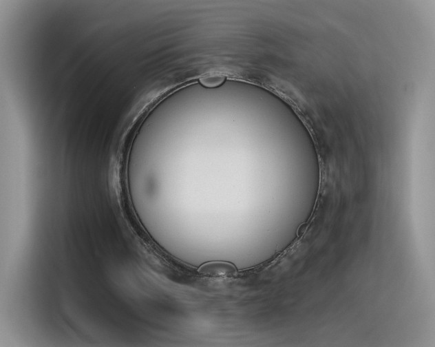 X0000115420098200911101639
