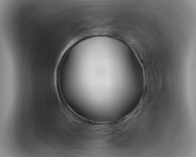 X0000115420100200911101639