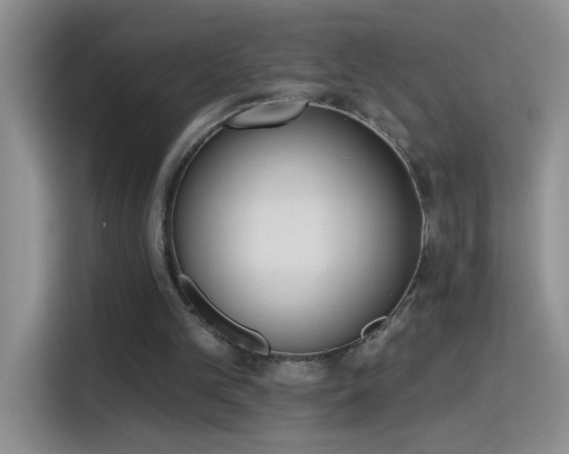 X0000115420101200911101639
