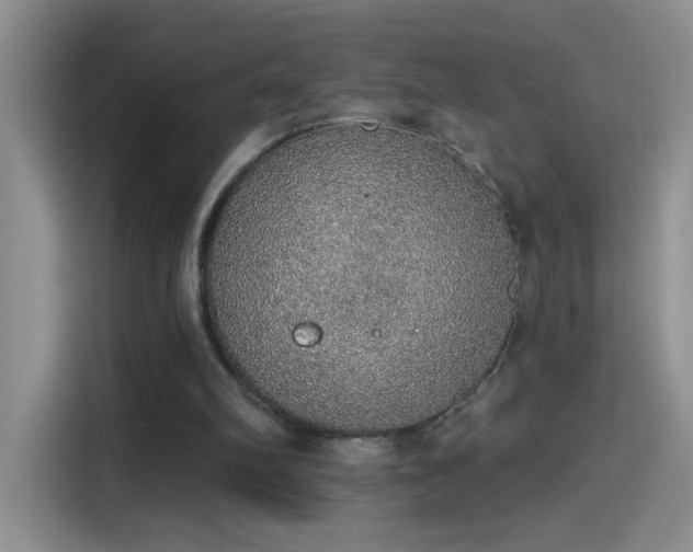 X0000115420102200911101639