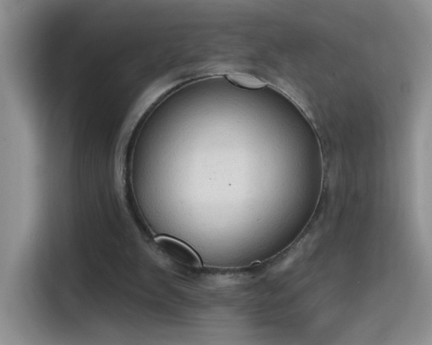 X0000115420103200911101639