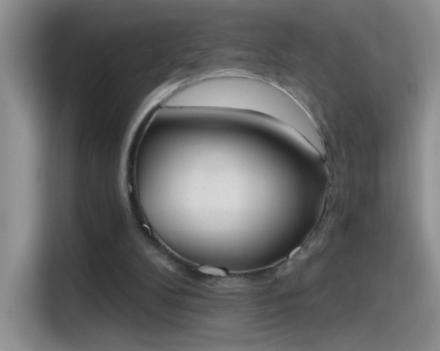 X0000115420104200911101639
