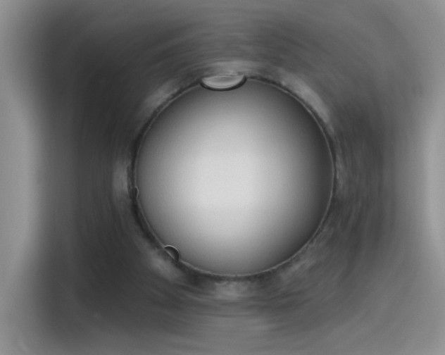 X0000115420105200911101639