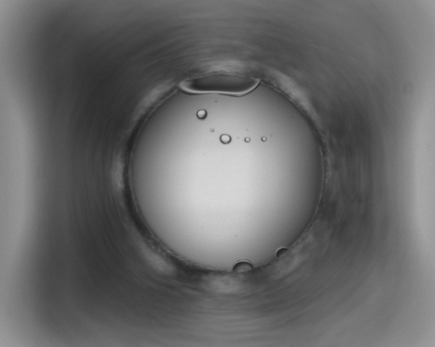 X0000115420106200911101639