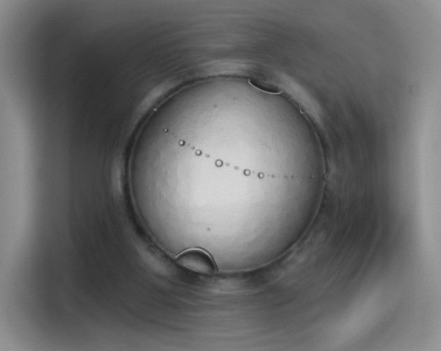 X0000115420107200911101639