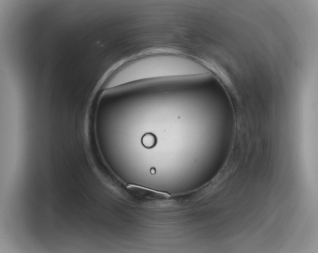 X0000115420108200911101639