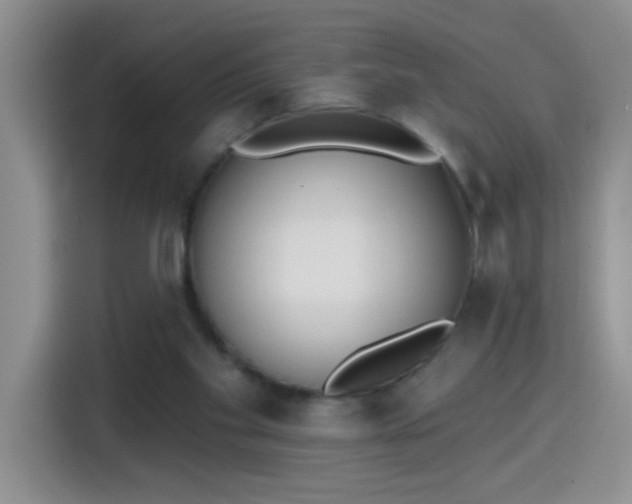 X0000115420109200911101639