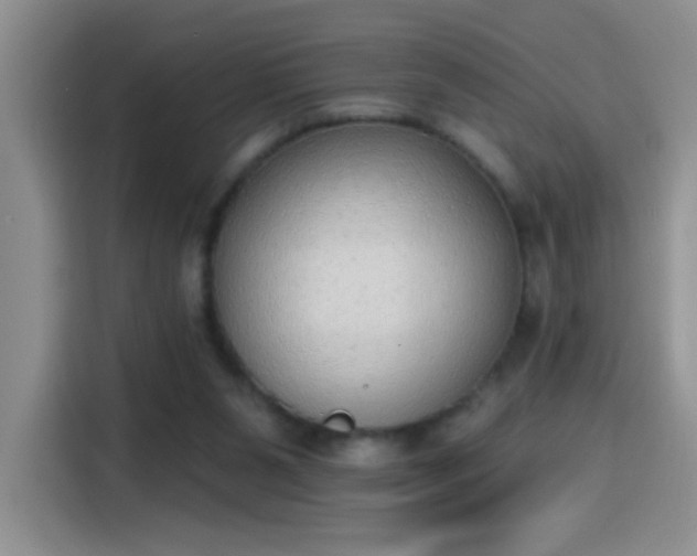 X0000115420111200911101639