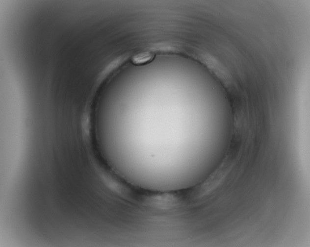 X0000115420112200911101639