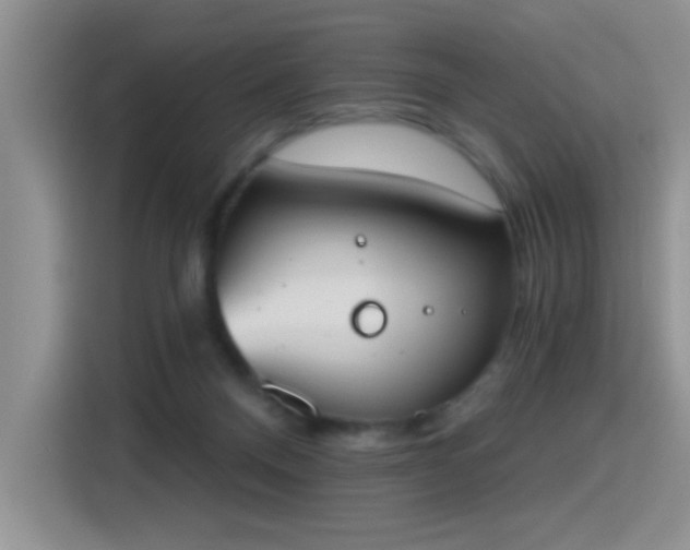 X0000115420120200911101639