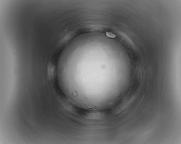 X0000115420123200911101639