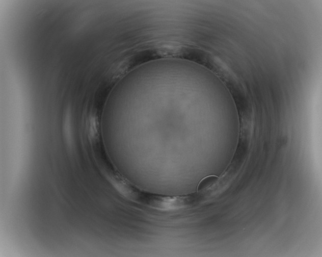 X0000115420130200911101639