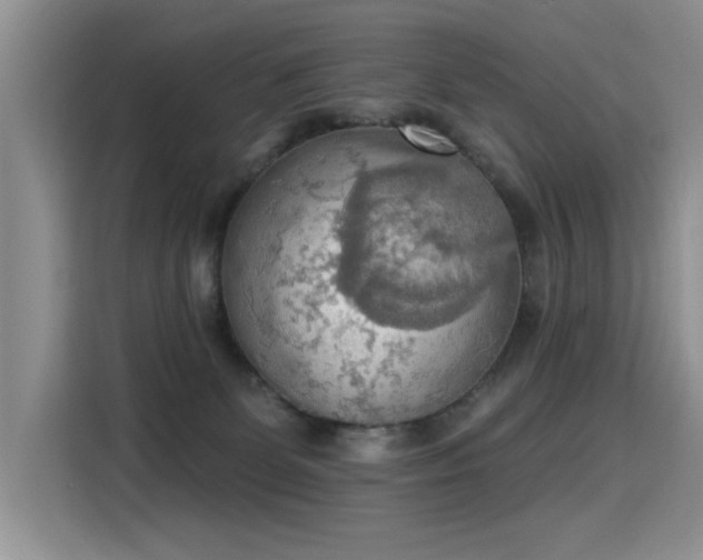 X0000115420131200911101639