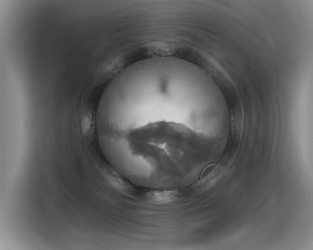 X0000115420134200911101639