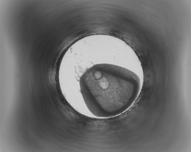 X0000115420146200911101638