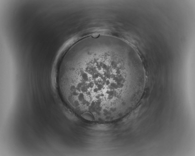 X0000115420149200911101638