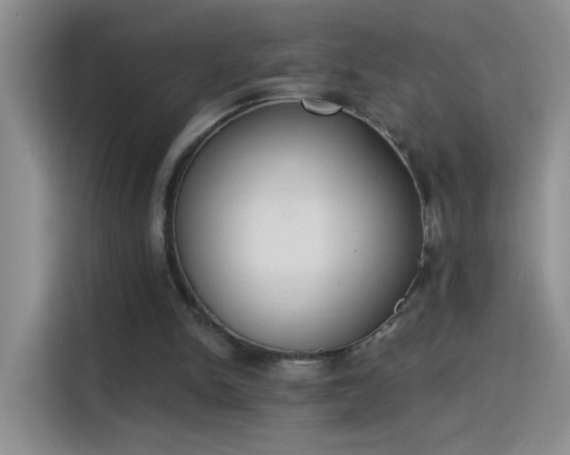 X0000115420150200911101638