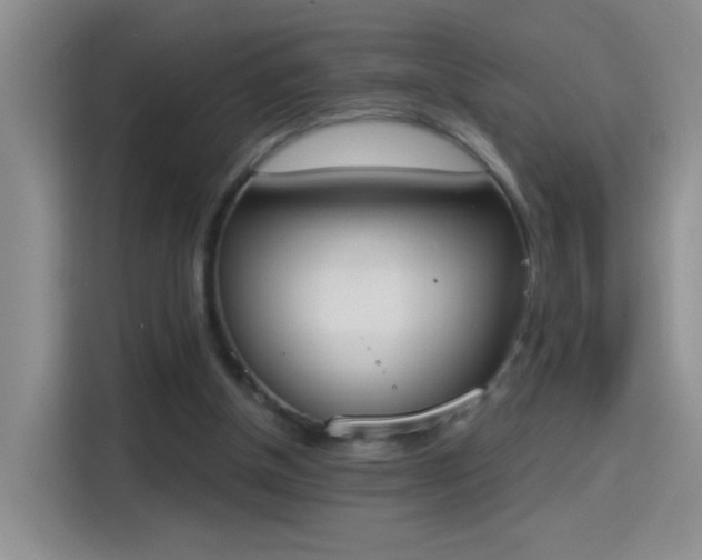 X0000115420154200911101638