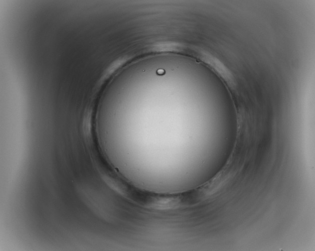 X0000115420155200911101638