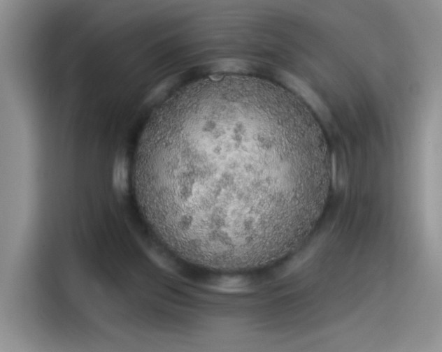 X0000115420157200911101638