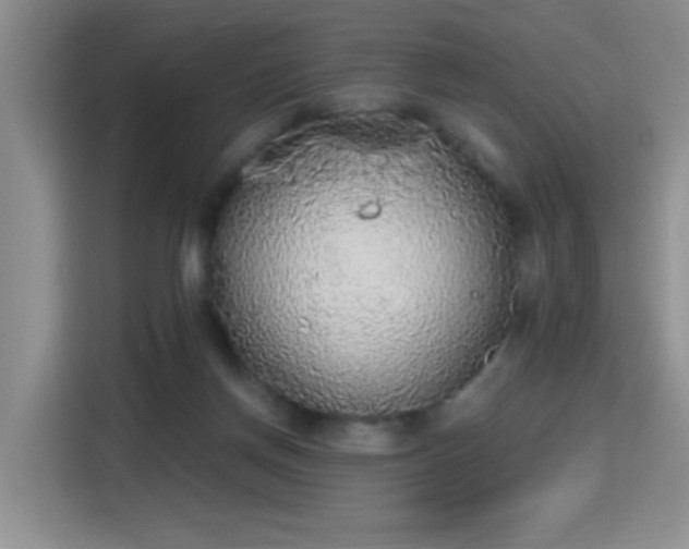 X0000115420166200911101639
