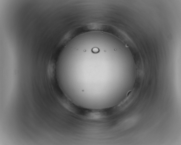 X0000115420171200911101639