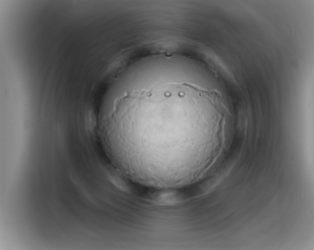 X0000115420173200911101639