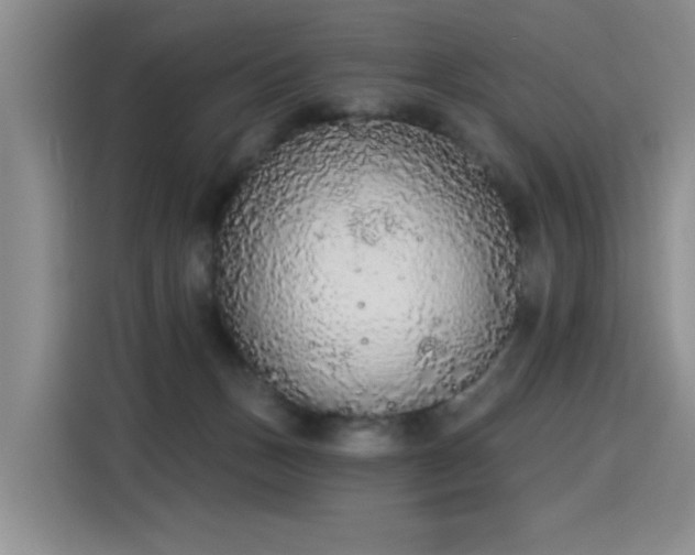 X0000115420175200911101639