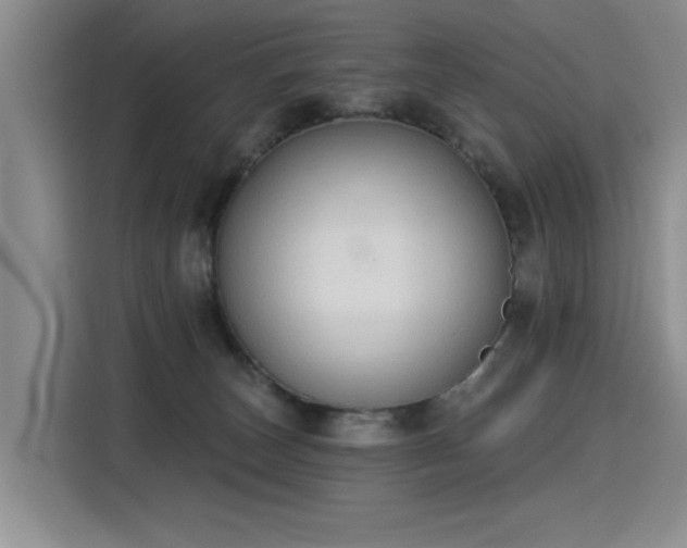 X0000115420179200911101639