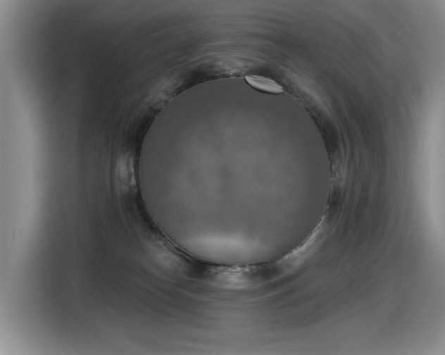 X0000115420182200911101639