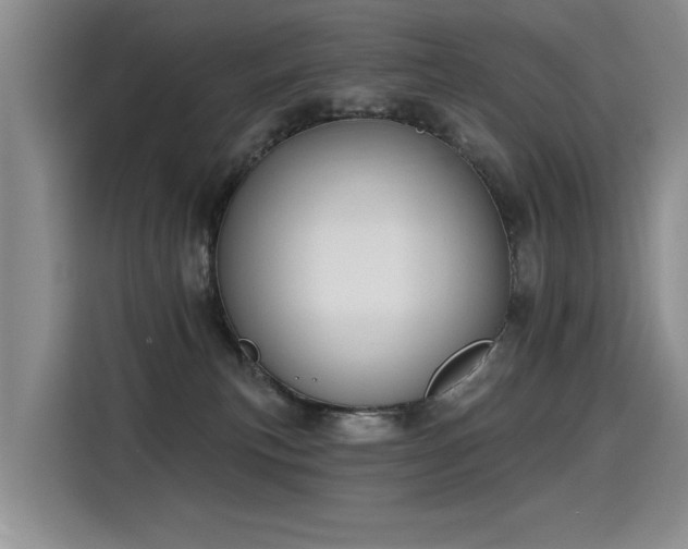 X0000115420183200911101639