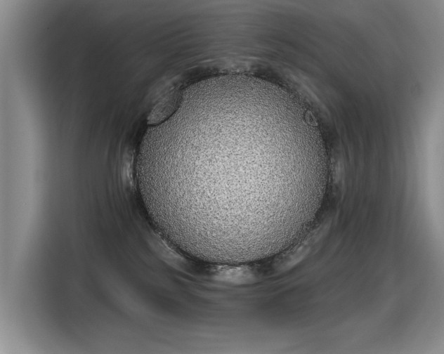 X0000115420185200911101639