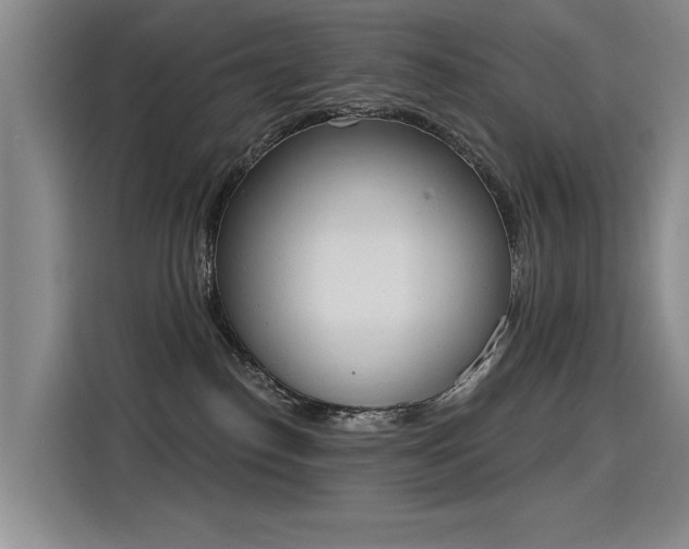 X0000115420186200911101639