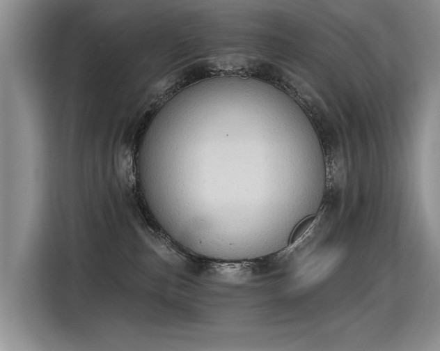 X0000115420187200911101639