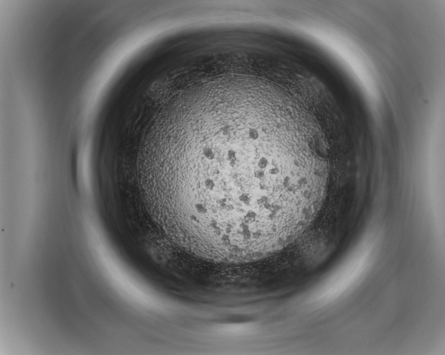 X0000115420189200911101639