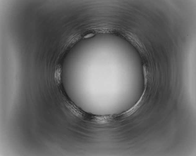 X0000115420190200911101639