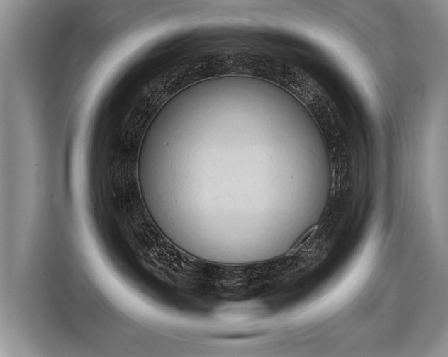 X0000115420191200911101639