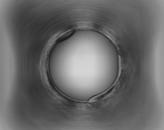 X0000115420193200911101638
