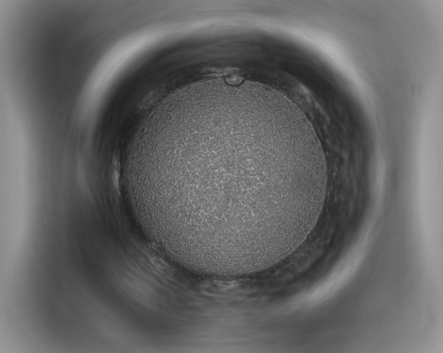 X0000115420194200911101638