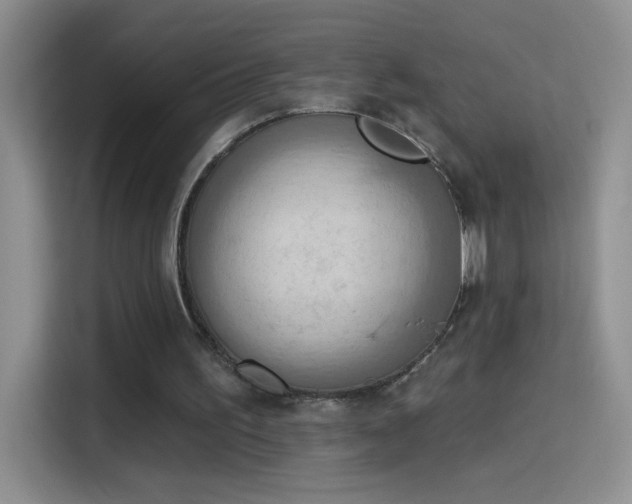 X0000115420195200911101638
