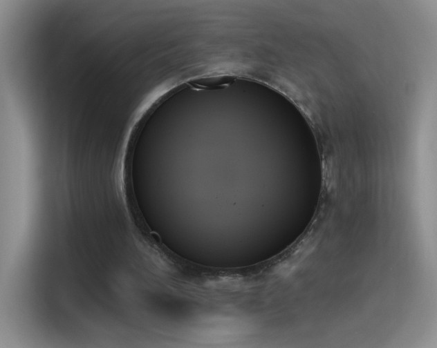X0000115420196200911101638