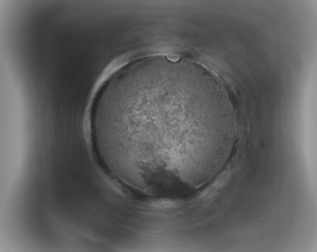X0000115420198200911101638