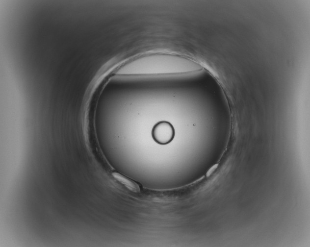 X0000115420199200911101638