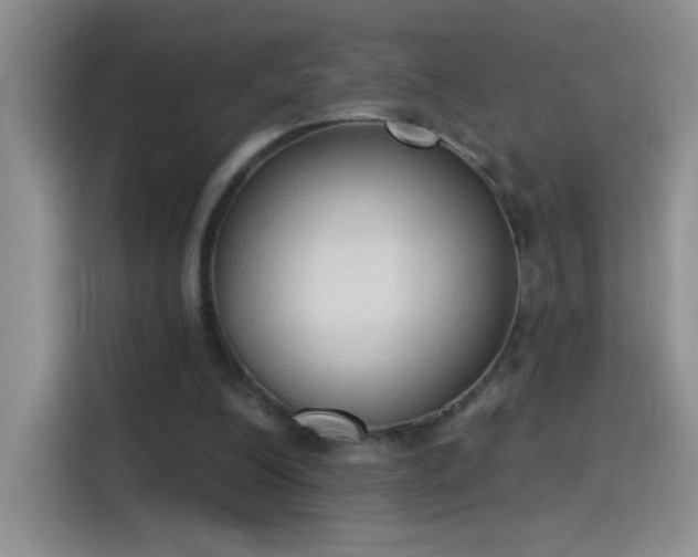 X0000115420200200911101638