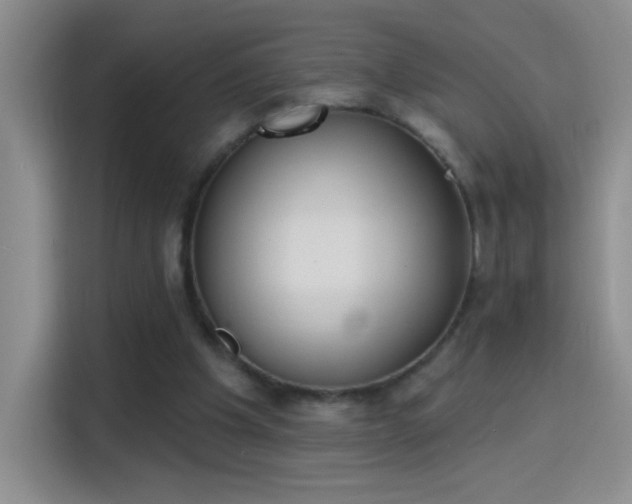 X0000115420201200911101638