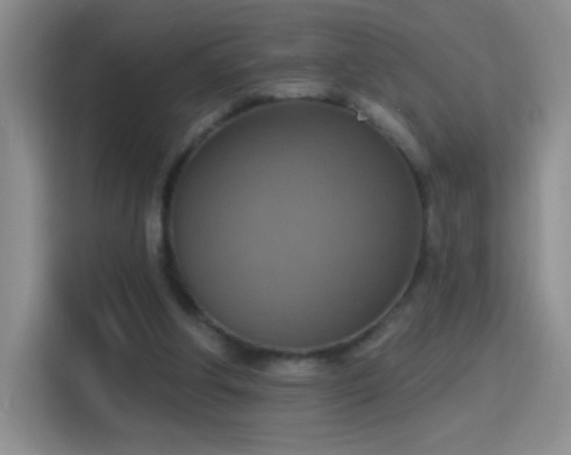 X0000115420202200911101638