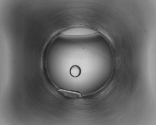 X0000115420203200911101638