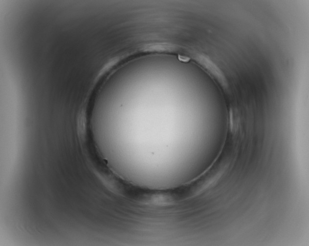 X0000115420204200911101638